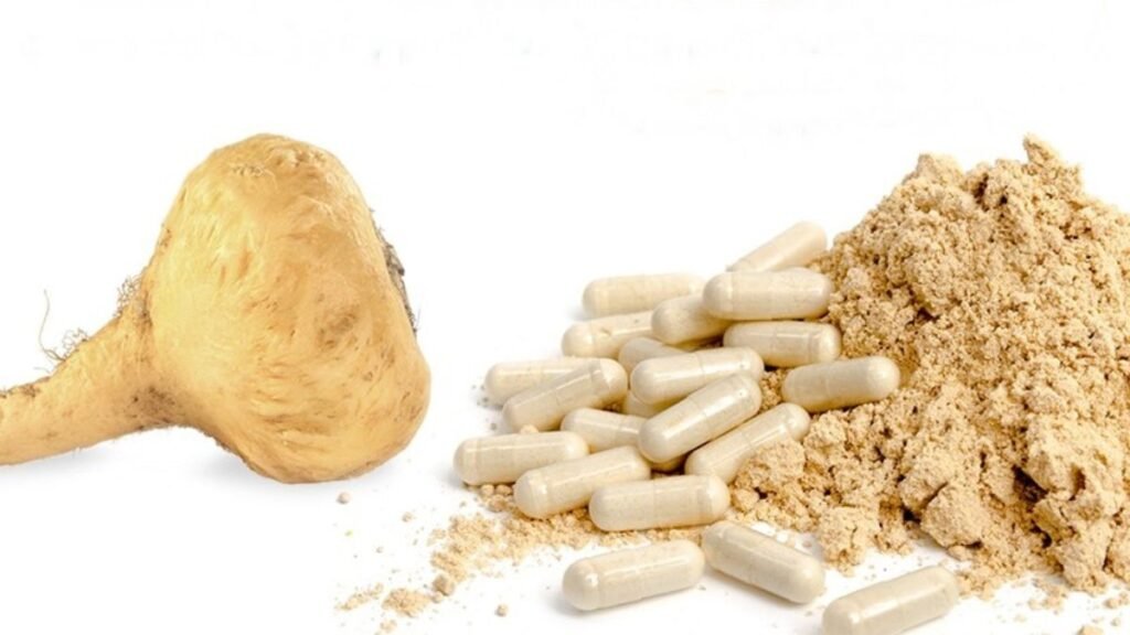 Precauções e contraindicações